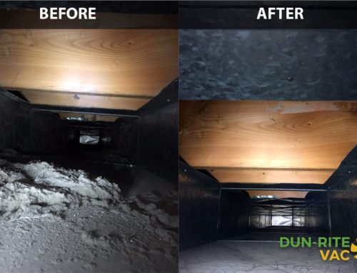 Before & After 1